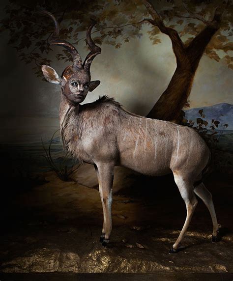 Reckoning With ‘the Curious Occurrence Of Taxidermy In Contemporary Art