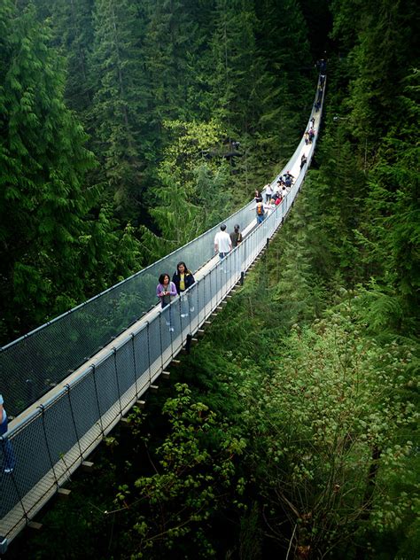 Capilano Suspension Bridge North Vancouver British Columbia