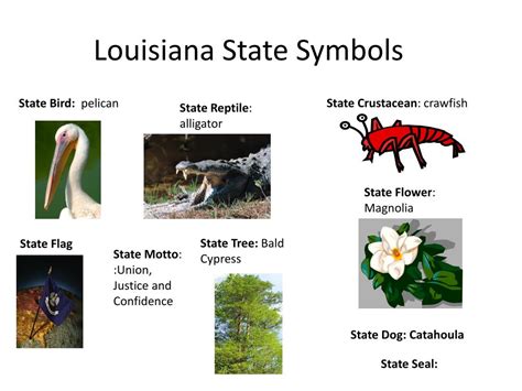 Ppt Louisiana State Symbols Powerpoint Presentation Free Download