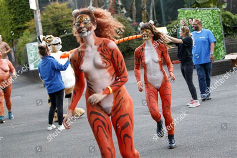 Naked Runners Take Part Streak Tigers Editorial Stock Photo Stock Image Shutterstock