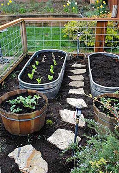 Grow Fruit And Vegetables In A Cool Raised Garden Bed