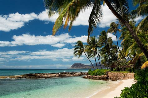 Hawaii Oahu Paradise Cove Beach License Image 70518503 Lookphotos