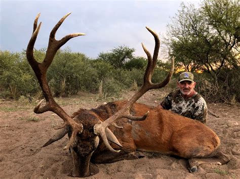 Tgb Outfitters 7 Day Red Stag And European Boar Hunt For Two Hunters