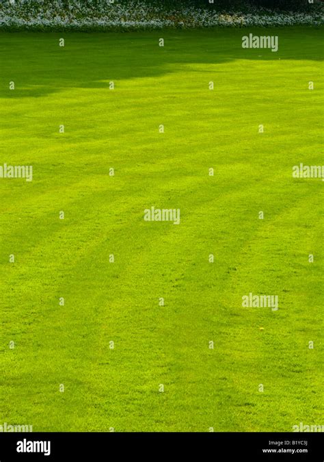 Lawn With Mowing Lines In The Grass Stock Photo Alamy