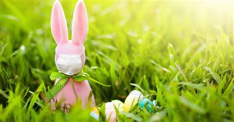 Originating among german lutherans, the easter hare originally played the role of a judge. Hogan Makes Easter Bunny 'Essential Worker' in Maryland ...