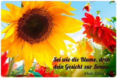 In august 2017, sony terminated the joint venture agreement for their own operations. Der kleine Gartenphilosoph: Sprüche zum Nachdenken für den ...
