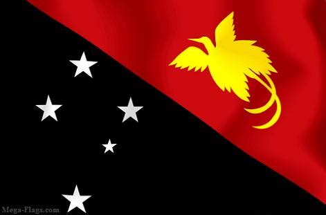 In the hoist, it depicts the southern cross; Papua New Guinea Flag