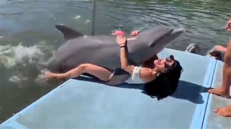A Woman And Dolphin Gone Sexual Youtube