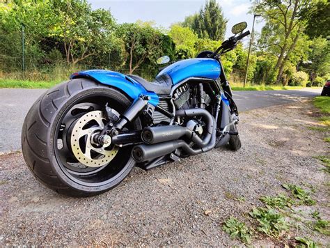 Harley Davidson Night Rod Special Custom 280er Ohz Wir Kaufen Dein
