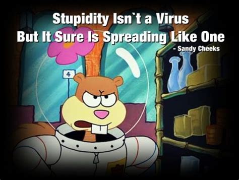 Funny Sandy Cheeks Quotes Shortquotescc