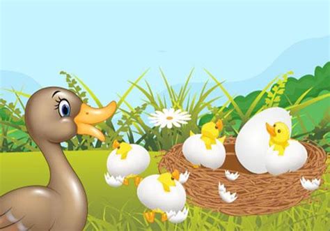 She looks at the ugly duckling and she says, walk behind your brothers and sisters. Children Story: Ugly Duckling for Android - APK Download