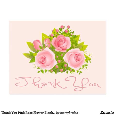 Thank You Pink Rose Flower Blank Floral Post Card Pink Rose Flower