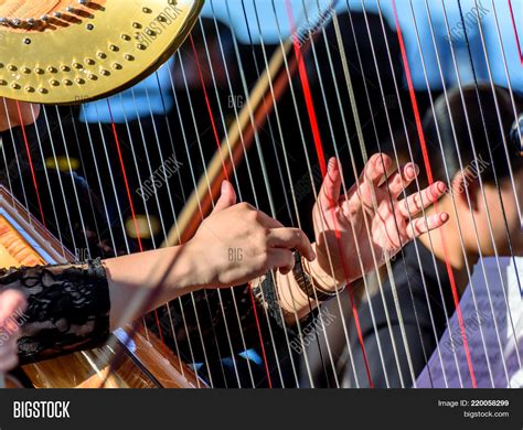 Harpist Symphony Image And Photo Free Trial Bigstock