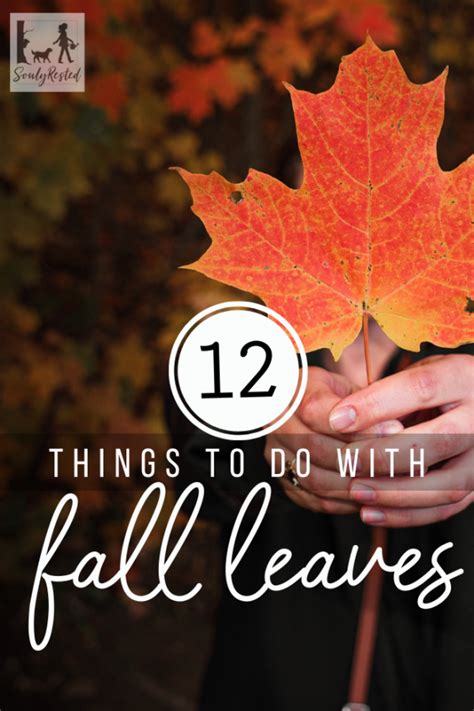 12 Things To Do With Fall Leaves Souly Rested