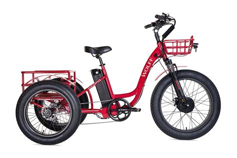Tucana Adult Electric Tricycle Wolff E Bikes
