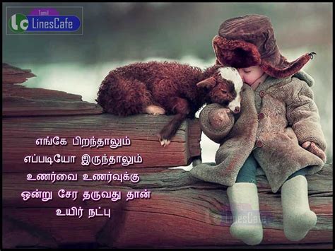 Dppicture Feeling Natpu Kavithai Friendship Quotes In Tamil
