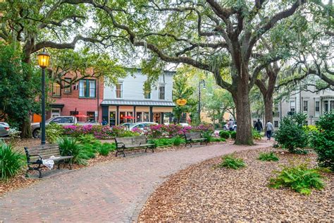 Savannah Or Charleston Which Lowcountry City Is Right For You