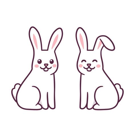 Two Rabbits Illustrations Royalty Free Vector Graphics And Clip Art Istock
