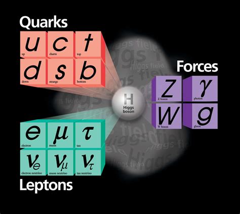 The Standard Model Of Particle Physics The Absolutely Amazing Theory