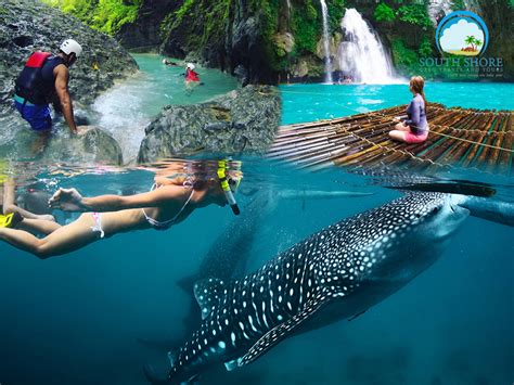 Oslob Whale Shark Swimming And Canyoneering In Badian Cebu Day Tour Package