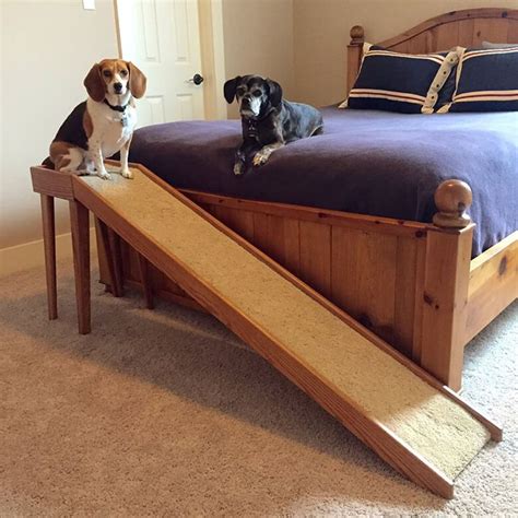 Best Indoor Pet Ramp For Small Dogs Pets Animals Us