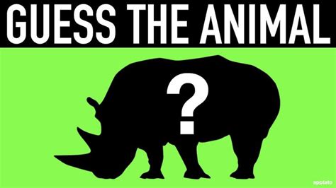 Guess The Animal Quiz 1 Can You Guess The Animals Shadow Animal