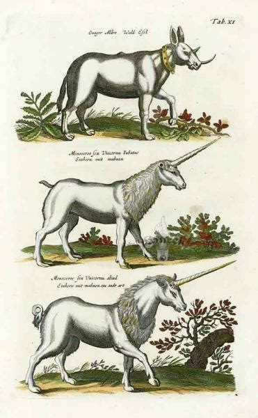 What Is A Unicorns Horn Made Of University Of Cambridge