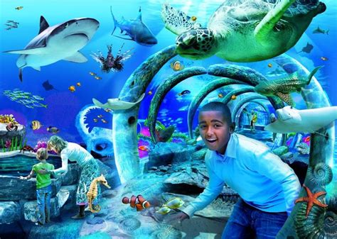 Visit Sea Life London Aquarium Home To An Exciting Collection Of