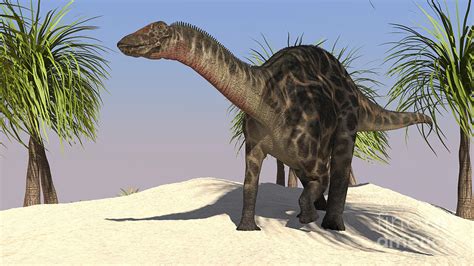 Large Dicraeosaurus In A Tropical Digital Art By Kostyantyn Ivanyshen