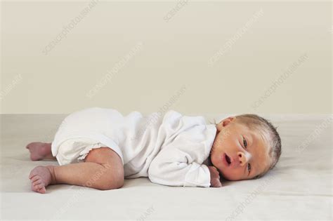 Baby Lying On Stomach Stock Image F0037466 Science Photo Library