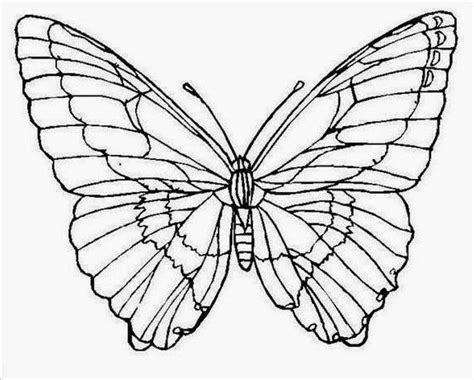 Magic butterfly style zentangle, freehand drawing. Insects in 2020 | Butterfly coloring page, Butterfly drawing, Butterfly outline