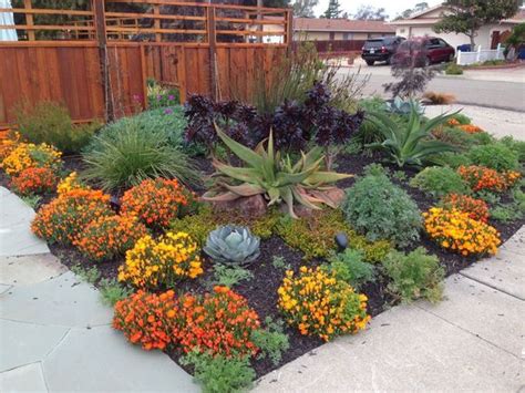 Image Result For Drought Tolerant Plants For Sacramento Area Low
