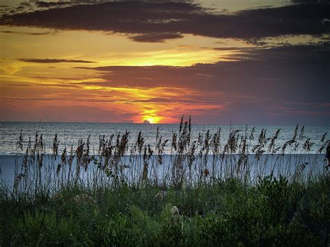 A Sea Oat Sunset Photograph By David Choate Fine Art America