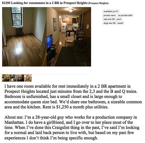 Guy Fed Up With Awful Roommates Posts Hilarious Craigslist Ad Photos