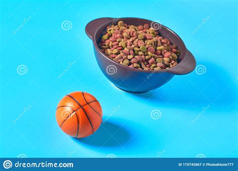 4.6 out of 5 stars with 1046 ratings. Ceramic Bowl Full Of Dry Food For Pet Near Basketball Ball ...