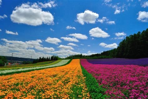 Logged in with {{ login_id.substr(0, 30) }}{{ login_id.length > 30 ? 不只賞雪! 北海道七大夏日美景 - MOOK景點家 - 墨刻出版 華文最大旅遊資訊平台