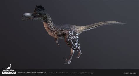 Artstation Prehistoric Kingdom Velociraptor Mongonliensis Cindy