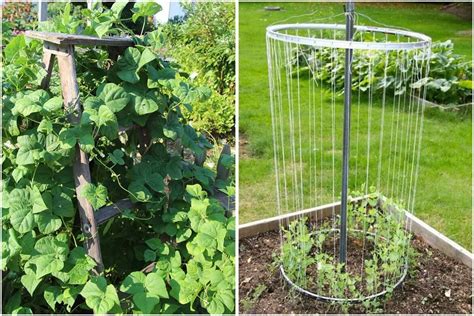 Diy Recycled Trellis Ideas For Your Garden