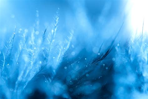 Free Images Water Sky Sunlight Wave Flower Frost Atmosphere
