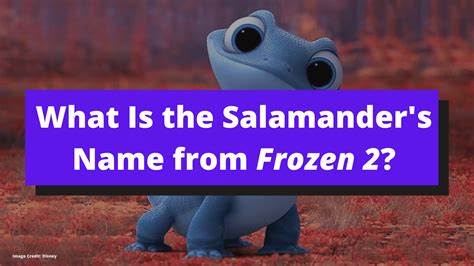 Check spelling or type a new query. What's the Salamander from Frozen 2 Name? Here's the Answer.