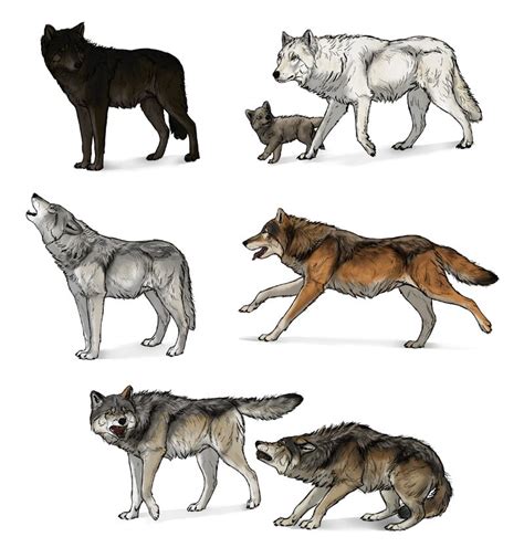 Useful drawing references and sketches for beginner artists. SketchBook Original: How to Draw Wolves - Monika Zagrobelna
