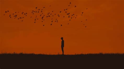3840x21602019 Silhouette Man And Birds 3840x21602019 Resolution