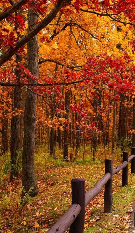 Pin By Jennifer Smith On Pretty Autumn Scenery Fall Pictures Landscape