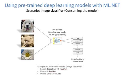 Training Image Classification Recognition Models Based On Deep Learning