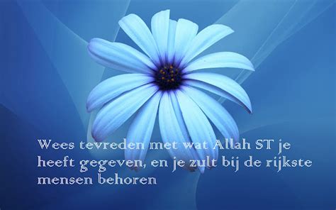 citaten en wijze woorden uit de islam wees tevreden met wat allah je heeft gegeven