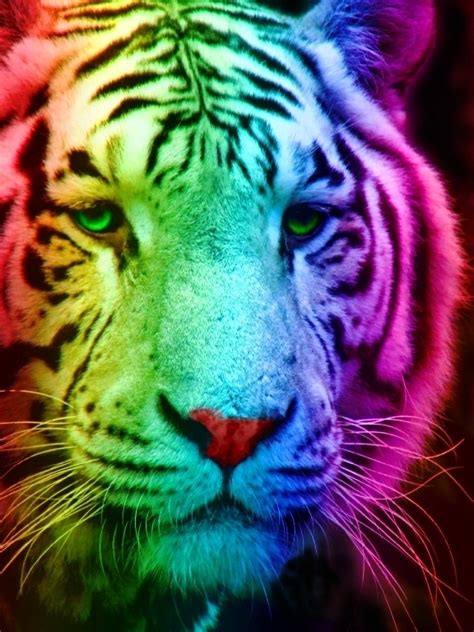 Rainbow Tigers By Tomboytigress On Deviantart