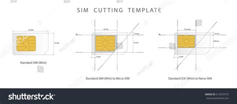 Sim Card Cutting Template Standard Micro Stock Vector Royalty Free
