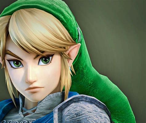 Link With Green Eyes Zelda Hyrule Warriors Zelda Characters Disney