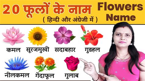 Flowers Name In Hindi And English With Pictures फूलों के नाम