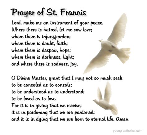 To you they were your brothers and sisters. Prayer of St. Francis